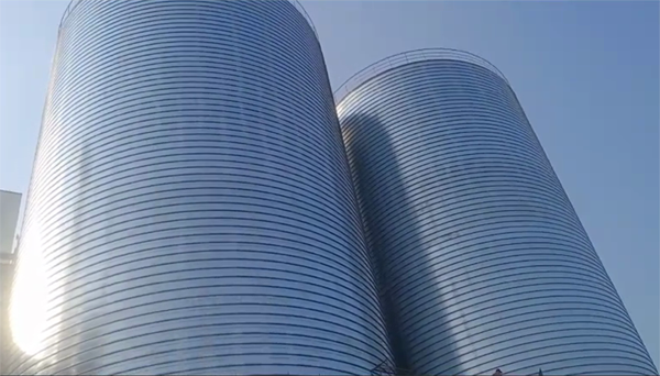 城中2座混凝土高架卷板仓